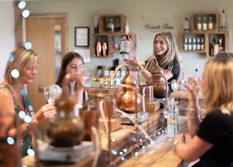 Colwithfarm gin school