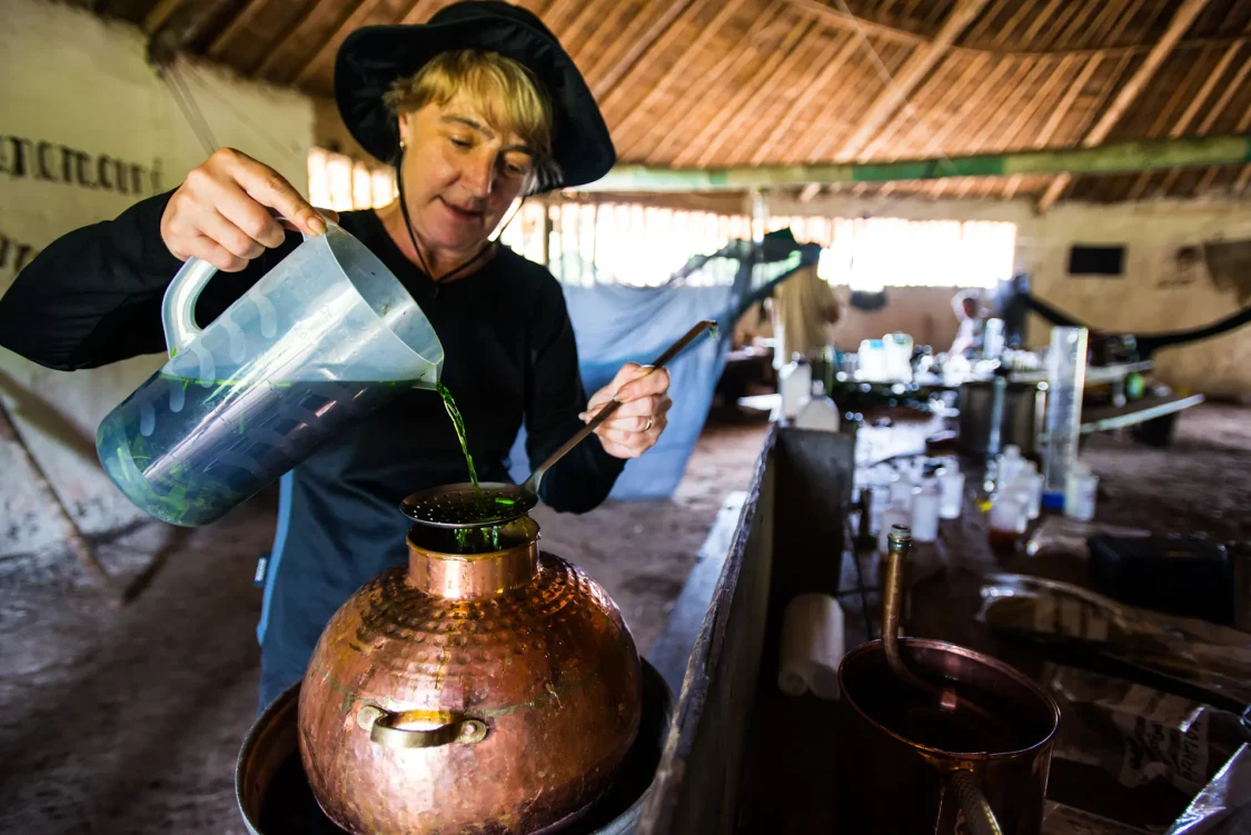 Lesley making Scorpion Tail distillate 1