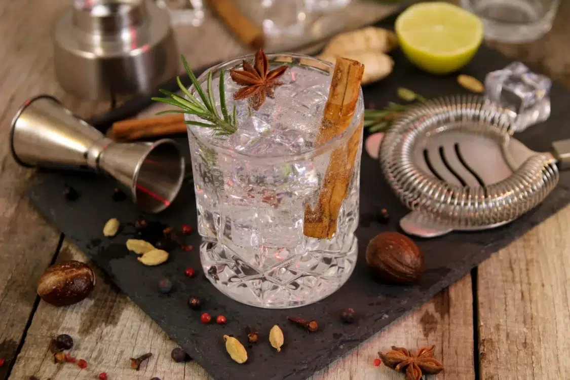 Wales Distillery Cocktails gin and tonic with rosemary aniseed and botanicals