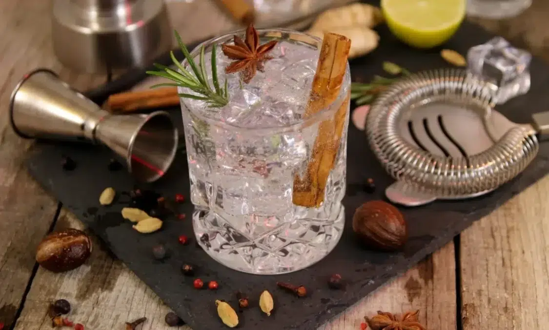 Wales-Distillery-Cocktails-gin-and-tonic-with-rosemary-aniseed-and-botanicals