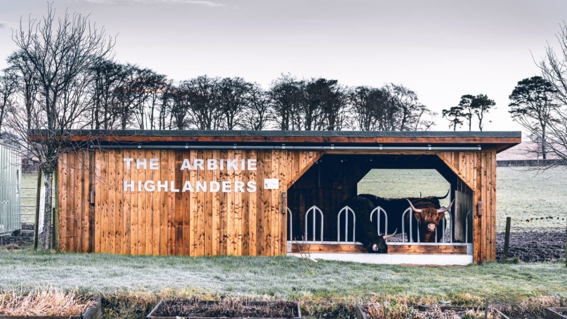 Arbikie Gin a Truthful field to bottle experience