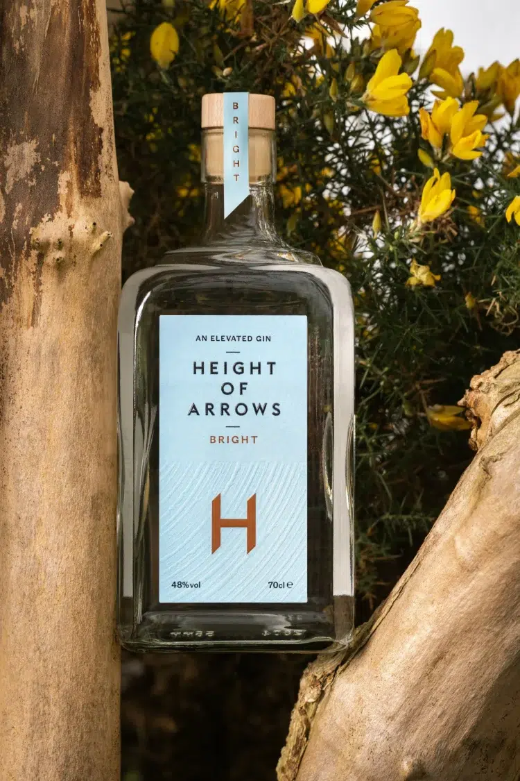 Bright HoA Gin