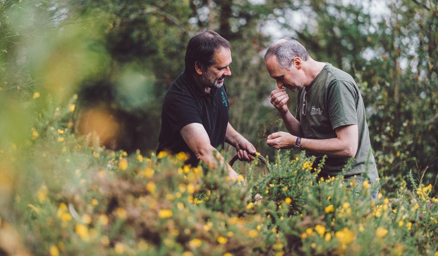 Dyfi Distillery Owners