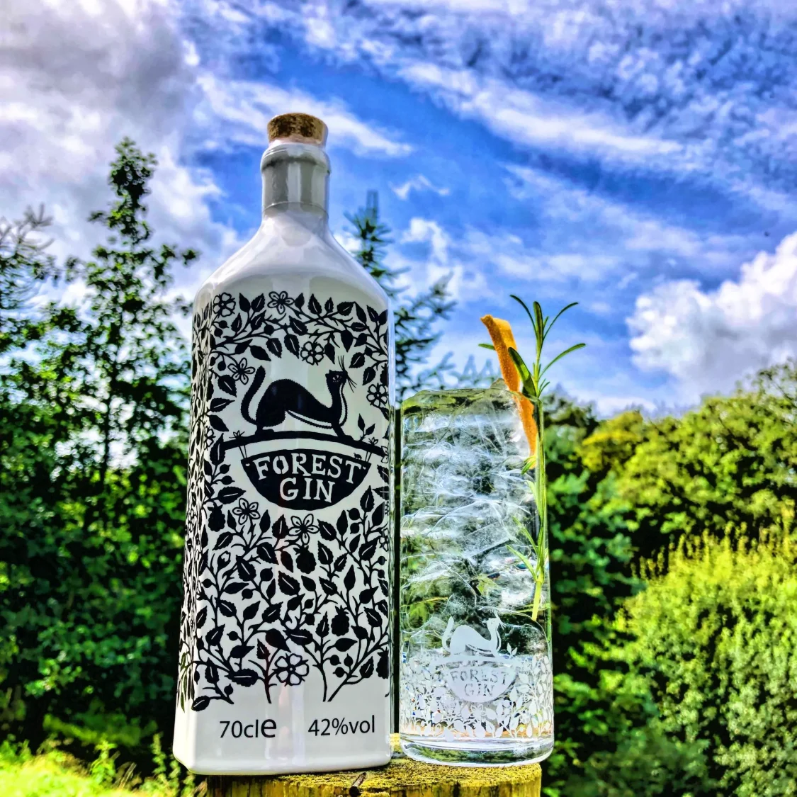 Forest Gin absolutely brilliant spirits