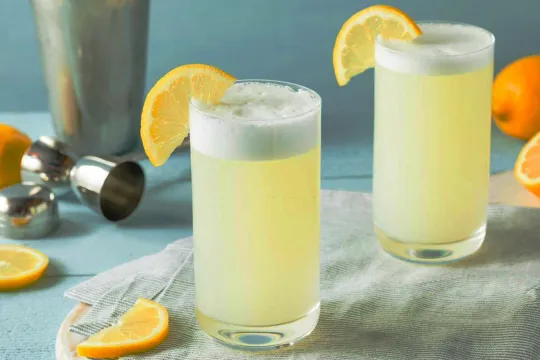 Gin Fizz Incognito