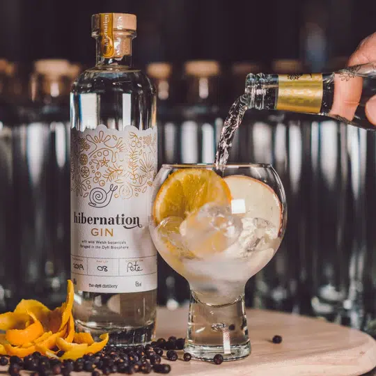 Hibernation Gin