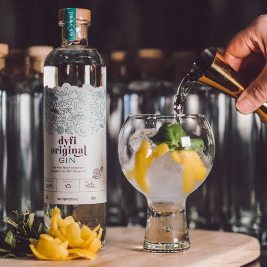 Hibernation create Great world class gins