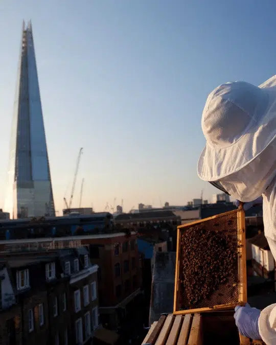 London Gin Distillery Jim Tonic REGENERATE URBAN SURROUNDINGS