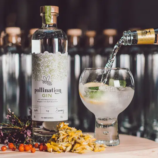 Pollination Gin