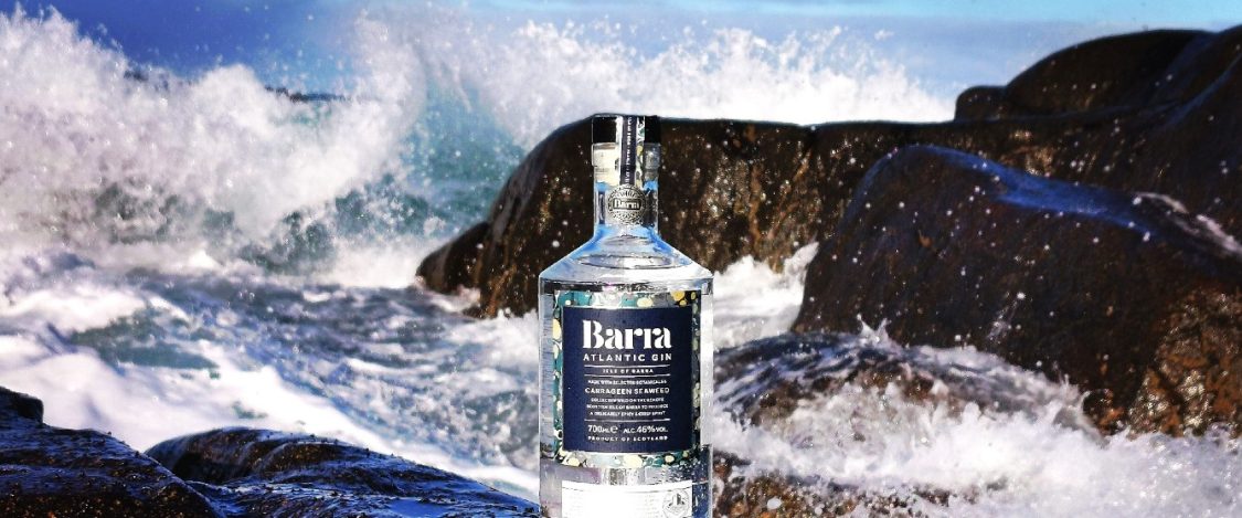 barra gin