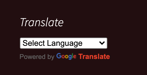 google translate widget live