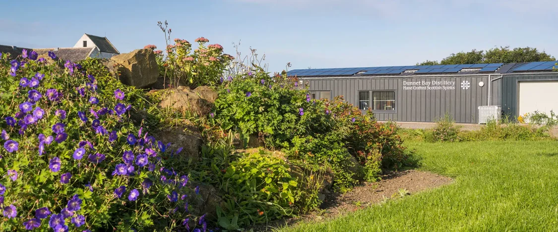 Dunnet Bay Distillery Exterior Foliage Forgeground