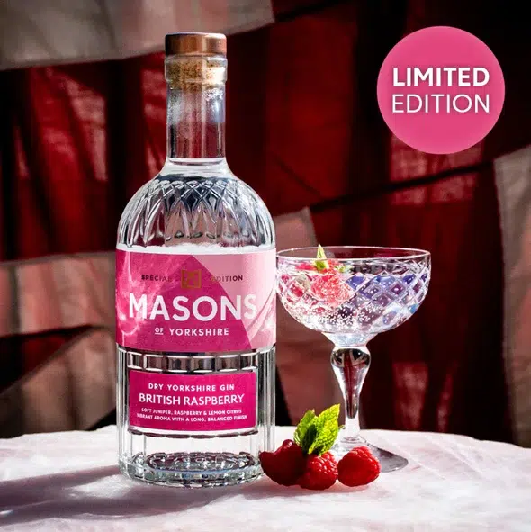 Masons RaspberryGin Coupe