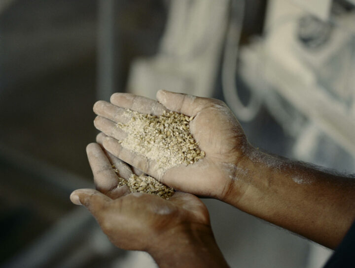 Ramsbury hands holding wheat