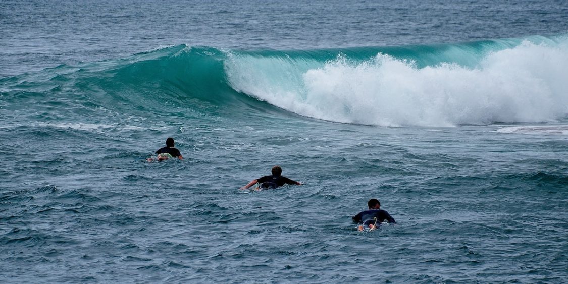 miguel a amutio Surfers against sewage