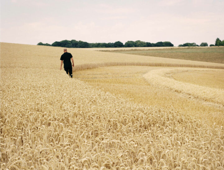 ramsbury man and wheat