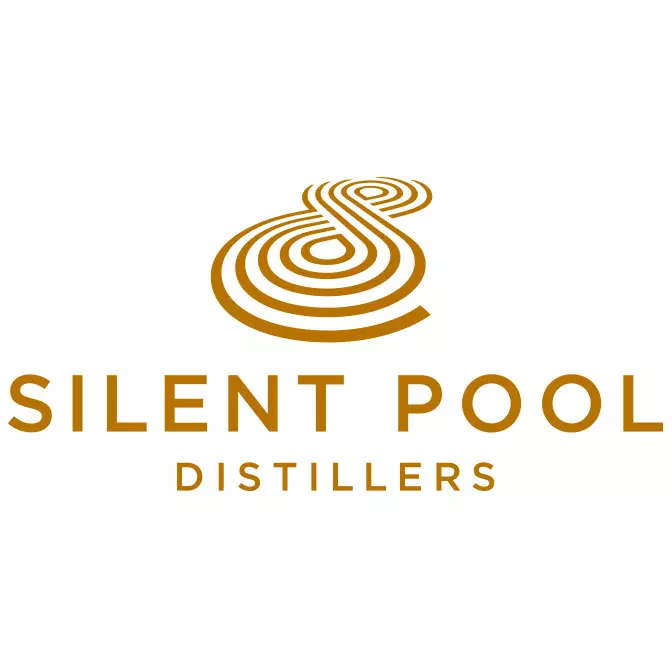 silent pool logo