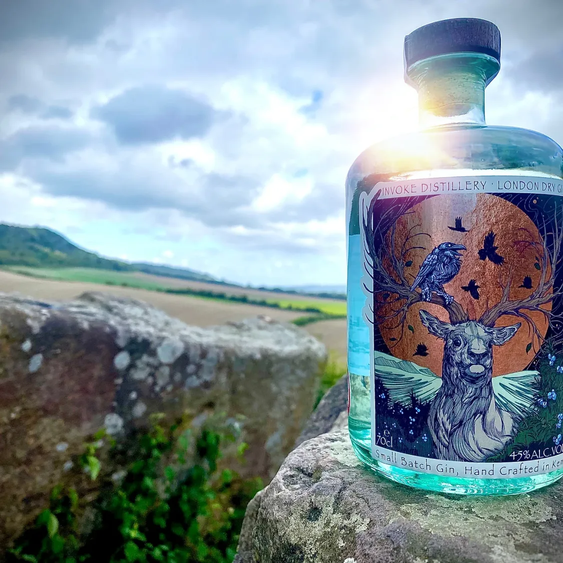 Invoke Fine Gin Discover in Kent