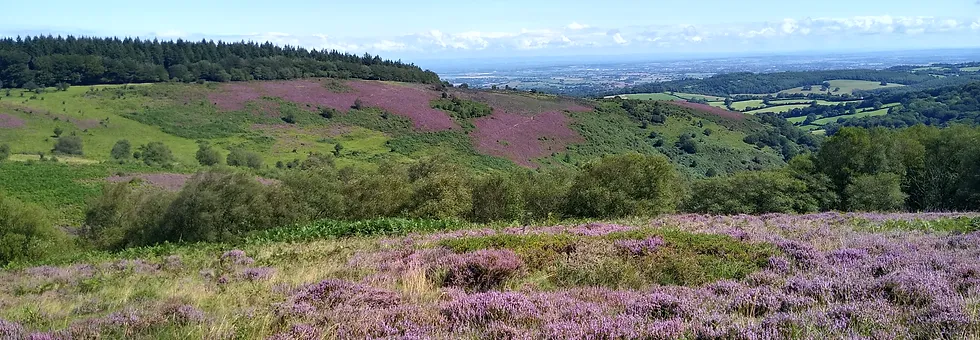 Quantock Hills