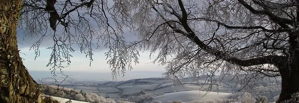 Quantock hills winter