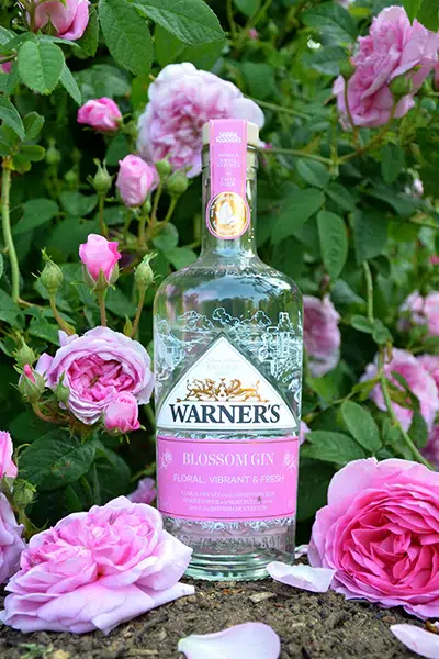 Warners Pink Blossom Gin