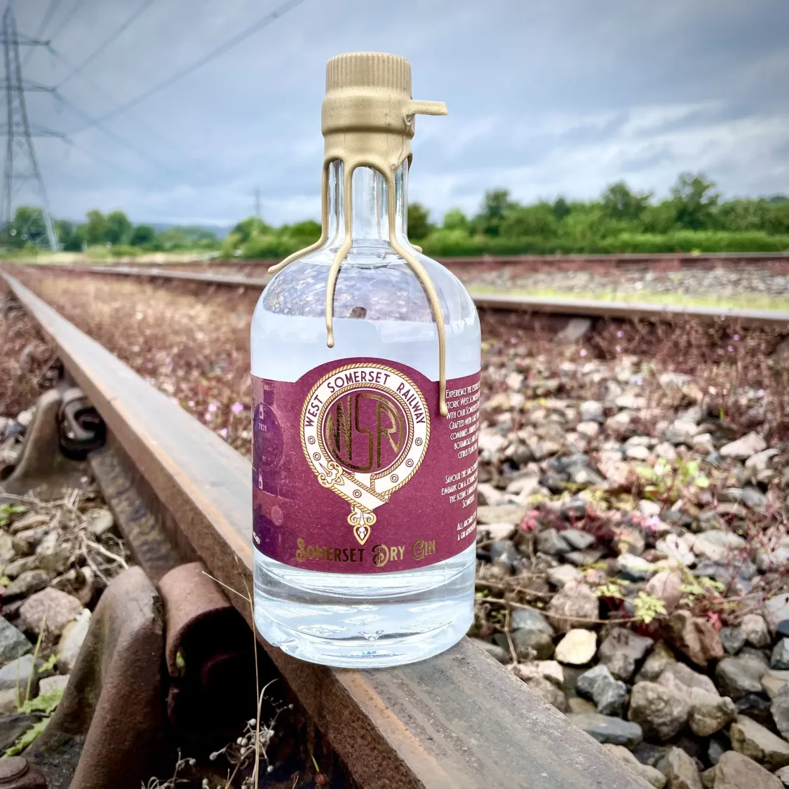 Somerset Dry Gin – West Somerset Railway