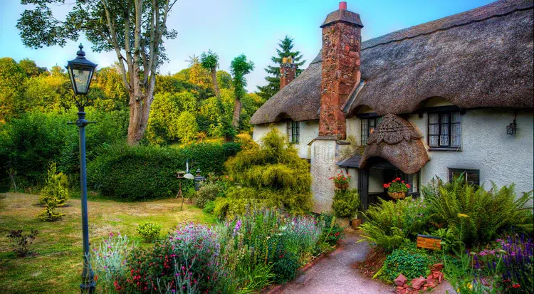 Thunderflower devon thatch