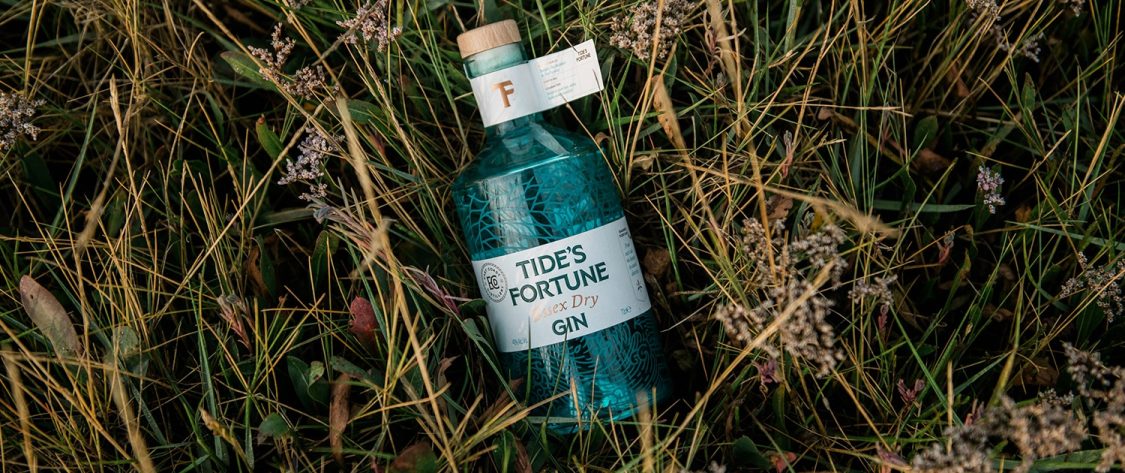 Tides fortune gin slider