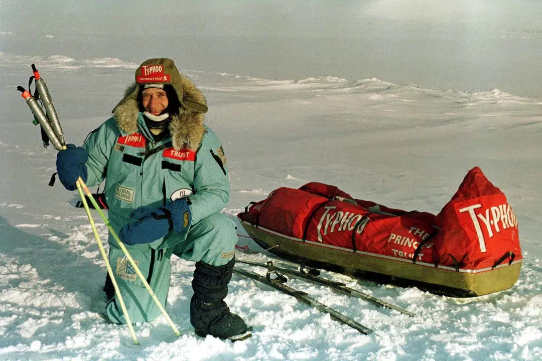 David in the arctic