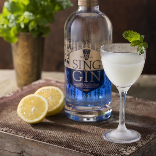 sg lifestyle gin lemons