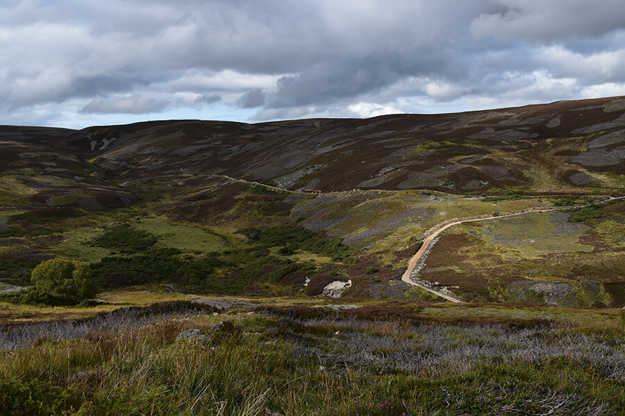 Crossbill highlands