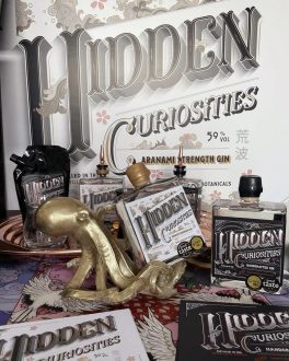 Hidden Curiosities facebook