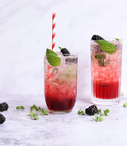 Blackberry Gin Fizz