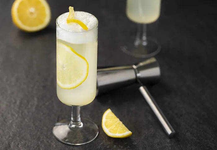 Classic Gin Fizz Cocktail