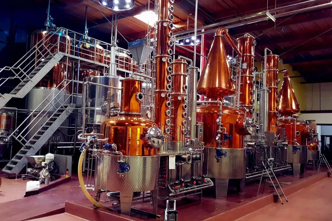 How Gin is made The science of a good gin